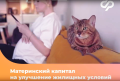 Программа материнского капитала продлена до 2030 года в рамках нацпроекта «Семья».